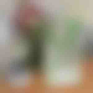 Шик саксија во форма на книга за цвеќиња | FLOWERFRAME