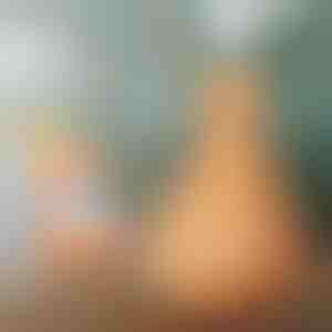 Овлажнувач од дрво | HUMISTER