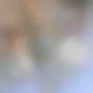 Леплива лента за поправка на мрежи против инсекти | INSECTAPE