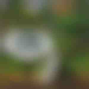 Соларни подни светилки за надворешна употреба (3 парчиња) | LUMIGARD