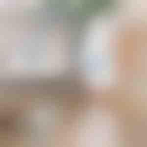 Електрична ротирачка четка за чистење | ROTOBRUSH