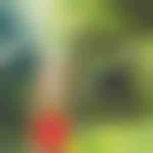 Портабилна туш кабина | SHOWDY