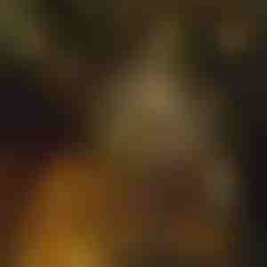 Светла во форма на ѕвезда (6 м) | STARYGLOW