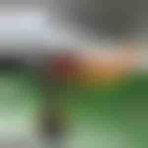 Грејач за автомобил и одмрзнувач на ветробранско стакло | TURBOCUP