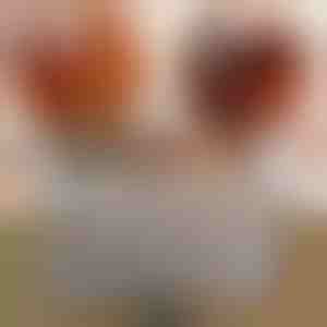 Комплет за поправка на дрвени површини (8 бои) | WOODPENS