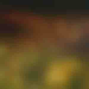 Соларна светлосна лента со 6 LED светилки | SOMPEX